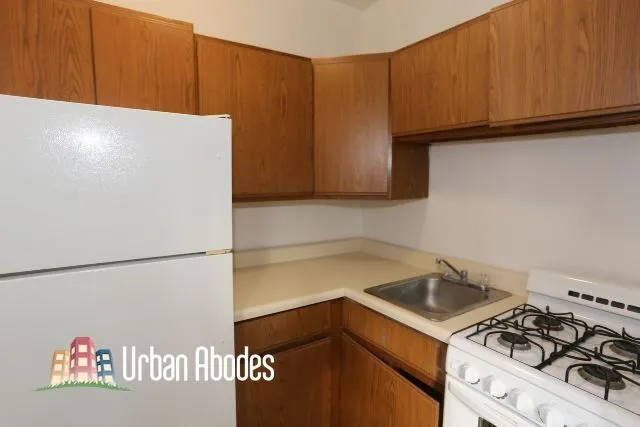 711 W Belmont Ave, ,  60657, USA 60657-unit#310-Chicago-IL