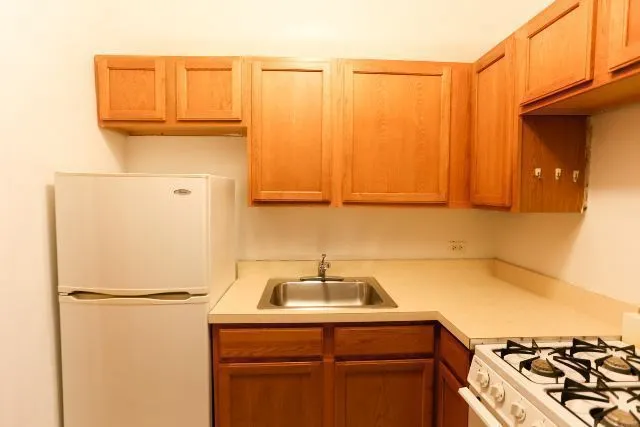 1164 N Dearborn St, , 60610, USA 60610-unit#315-Chicago-IL