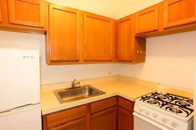 1164 N Dearborn St, , 60610, USA 60610-unit#315-Chicago-IL