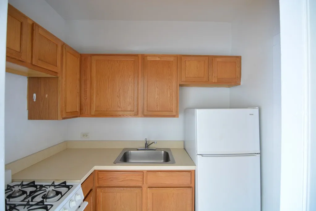 1164 N Dearborn St, ,  60610, USA 60610-unit#310-Chicago-IL