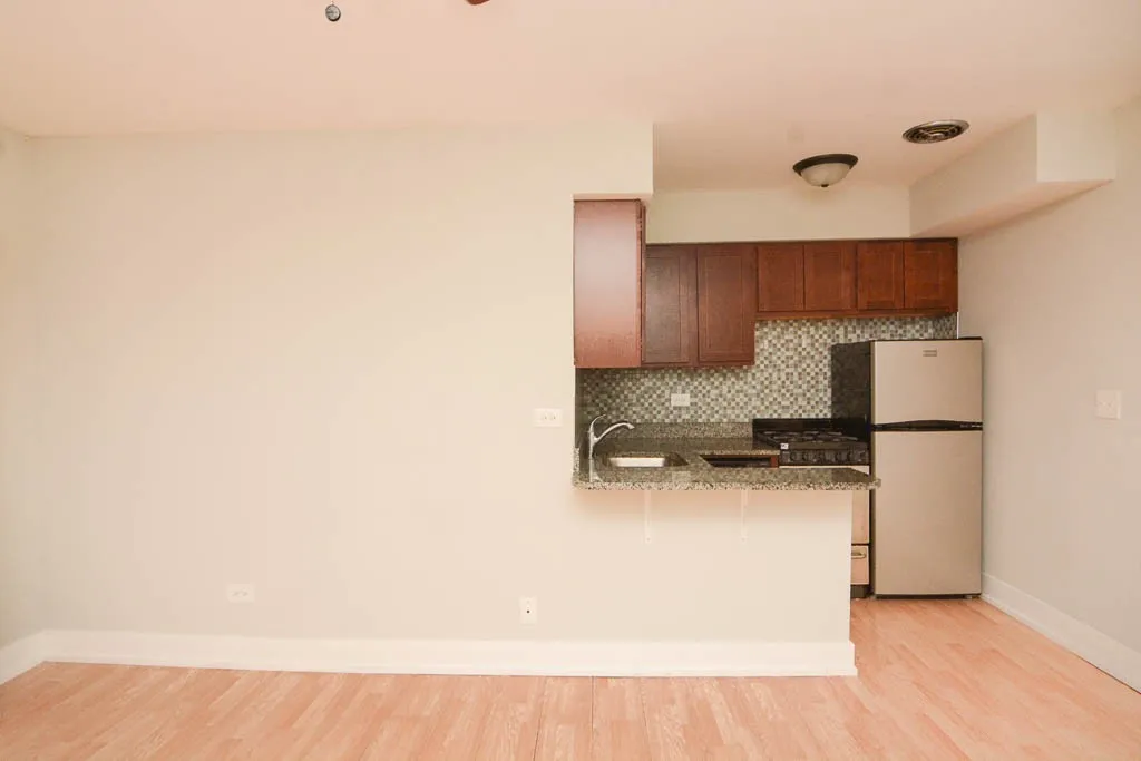 445 W Barry Ave, ,  60657, USA 60657-unit#224-Chicago-IL