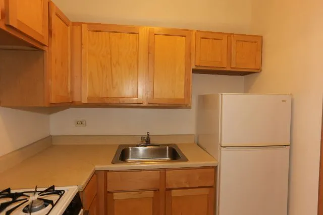 1164 N Dearborn St, , 60610, USA 60610-unit#405-Chicago-IL