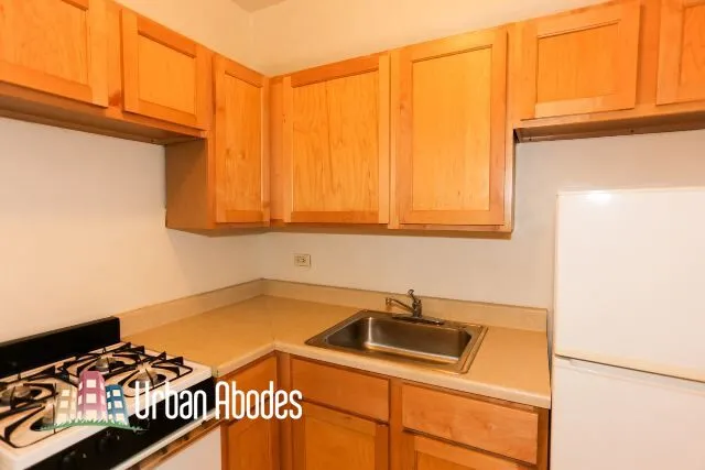 1164 N Dearborn St, ,  60610, USA 60610-unit#413-Chicago-IL