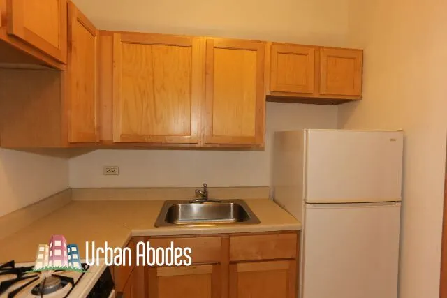 1164 N Dearborn St, ,  60610, USA 60610-unit#413-Chicago-IL