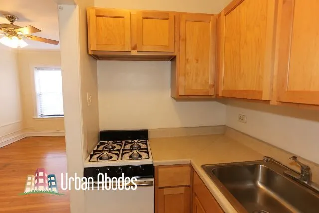 1164 N Dearborn St, ,  60610, USA 60610-unit#413-Chicago-IL