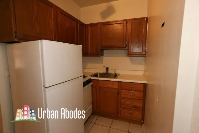 511 W Melrose St, ,  60657, USA 60657-unit#311-Chicago-IL