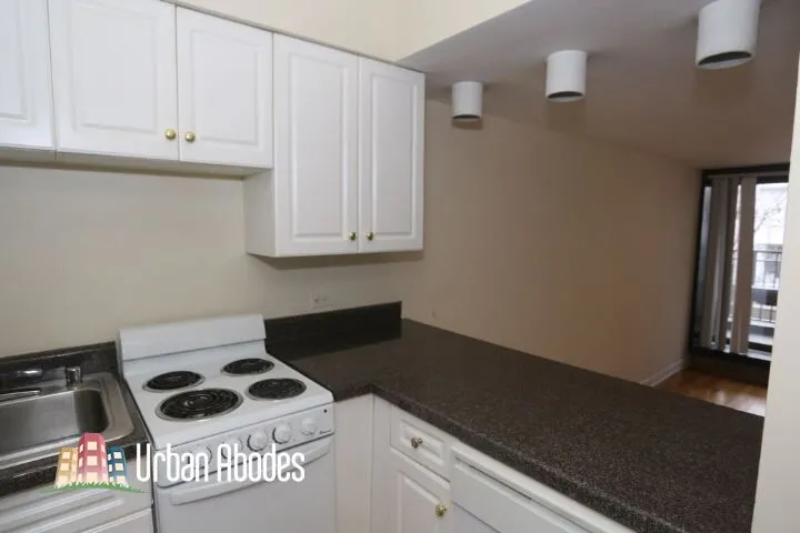 1220 N La Salle Dr, , 60610, USA 60610-unit#2B-Chicago-IL