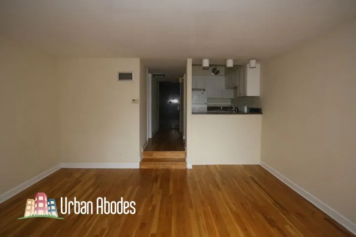 1220 N La Salle Dr, , 60610, USA 60610-unit#2B-Chicago-IL