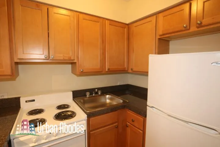 1220 N La Salle Dr, , 60610, USA 60610-unit#3C-Chicago-IL