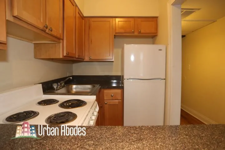 1220 N La Salle Dr, , 60610, USA 60610-unit#3C-Chicago-IL