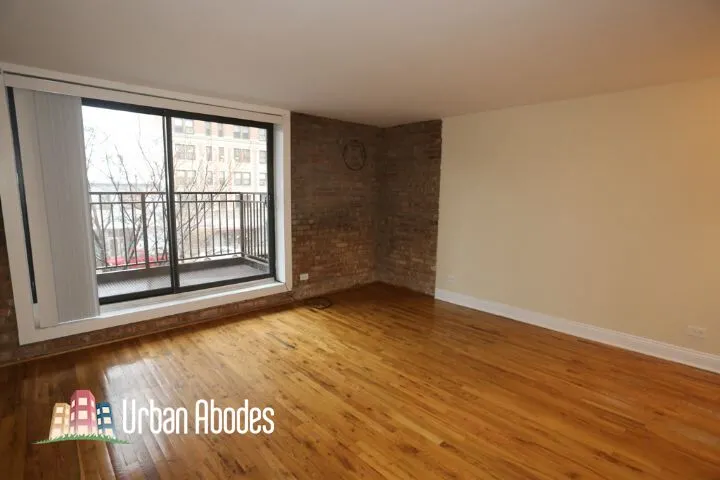 1220 N La Salle Dr, , 60610, USA 60610-unit#3C-Chicago-IL