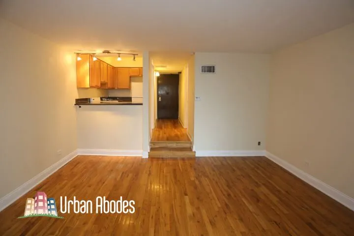 1220 N La Salle Dr, , 60610, USA 60610-unit#3C-Chicago-IL