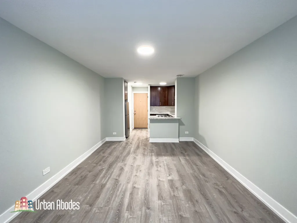 445 W Barry Ave, , 60657, USA 60657-unit#218-Chicago-IL