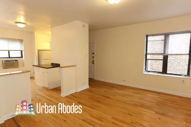 3720 N Pine Grove Ave, ,  60613, USA 60613-unit#1E-Chicago-IL