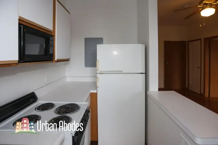 635 W Barry Ave, ,  60657, USA 60657-unit#408-Chicago-IL