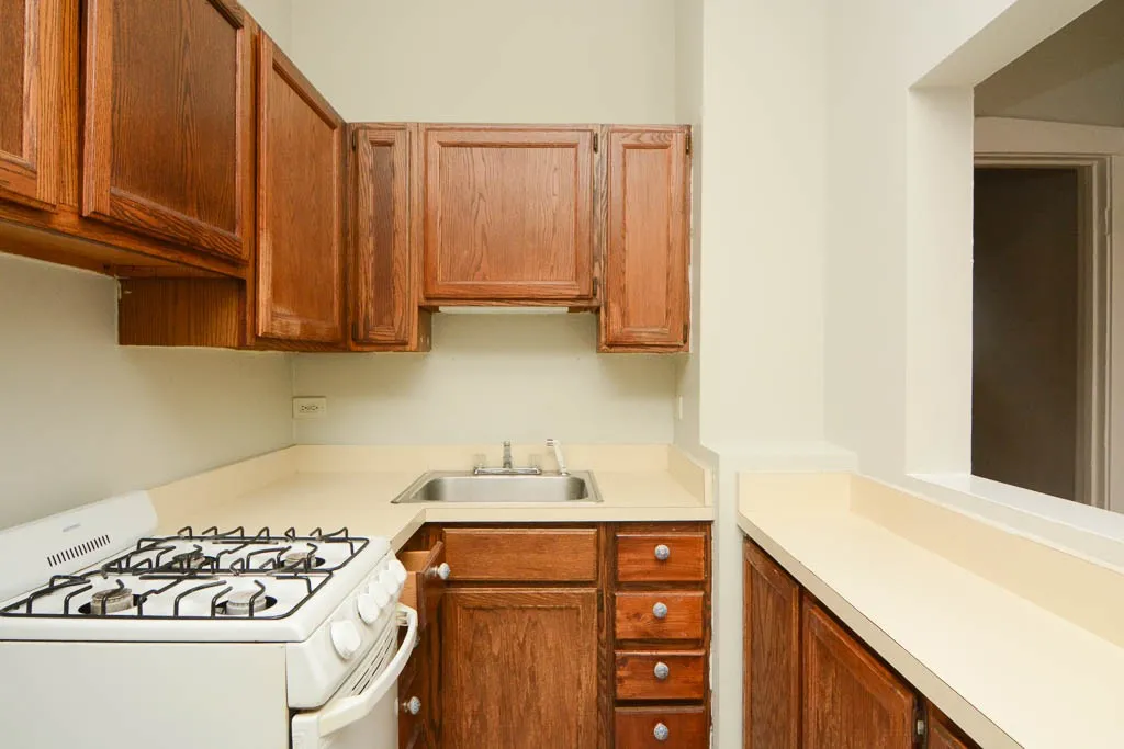 511 W Melrose St, ,  60657, USA 60657-unit#101-Chicago-IL