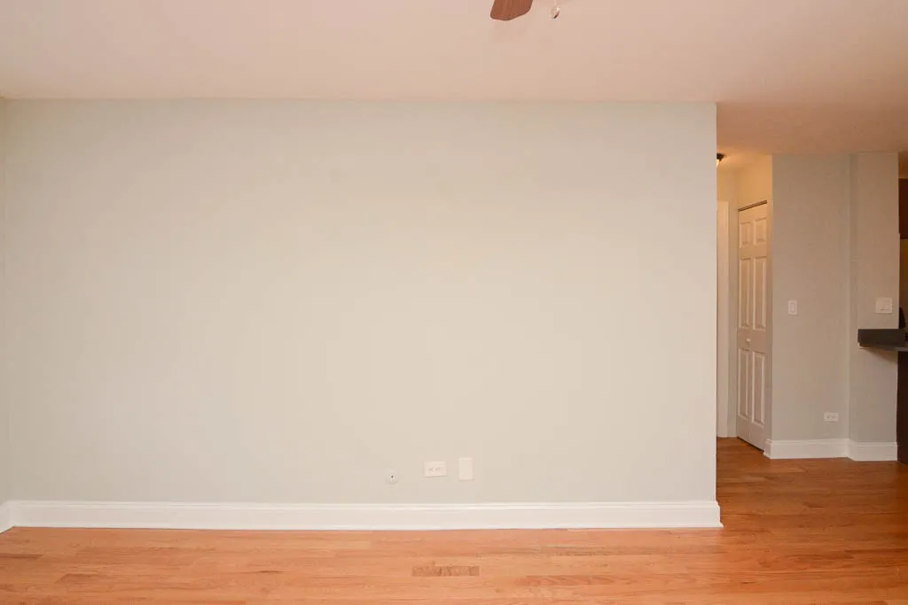 445 W Barry Ave, ,  60657, USA 60657-unit#303-Chicago-IL