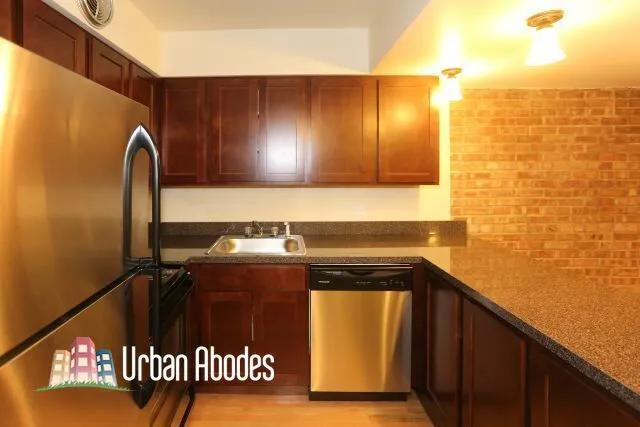 1220 N La Salle Dr, , 60610, USA 60610-unit#2K-Chicago-IL