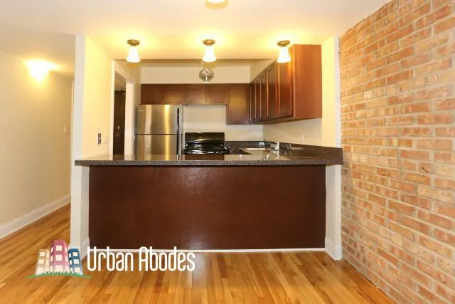 1220 N La Salle Dr, , 60610, USA 60610-unit#2K-Chicago-IL