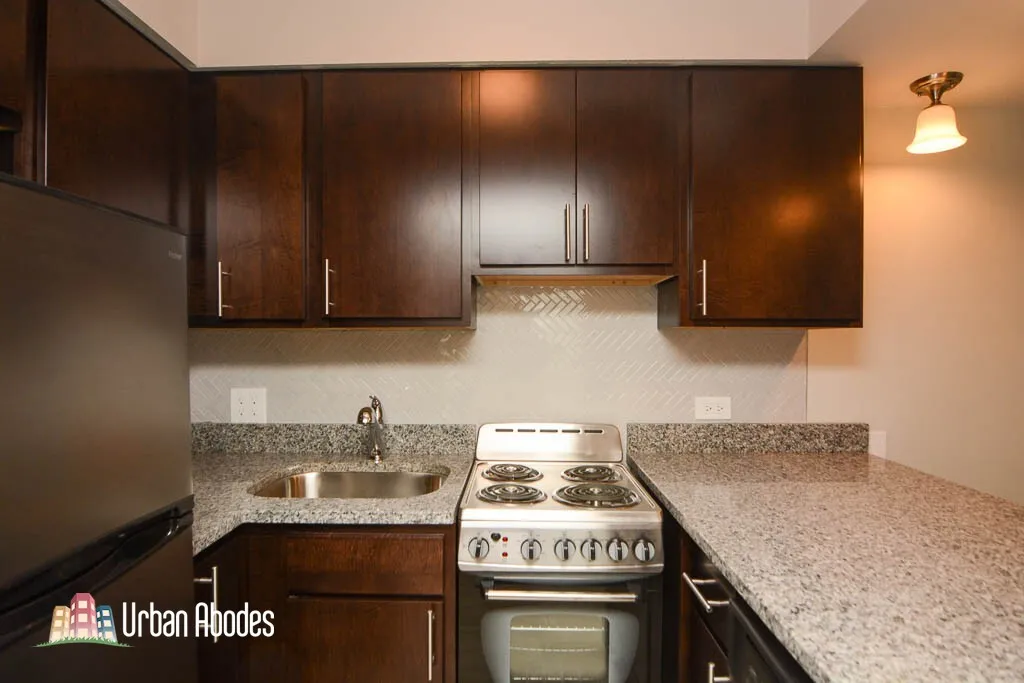 1220 N La Salle Dr, , 60610, USA 60610-unit#3B-Chicago-IL