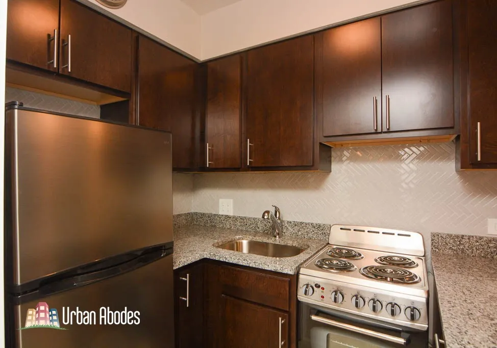 1220 N La Salle Dr, , 60610, USA 60610-unit#3B-Chicago-IL