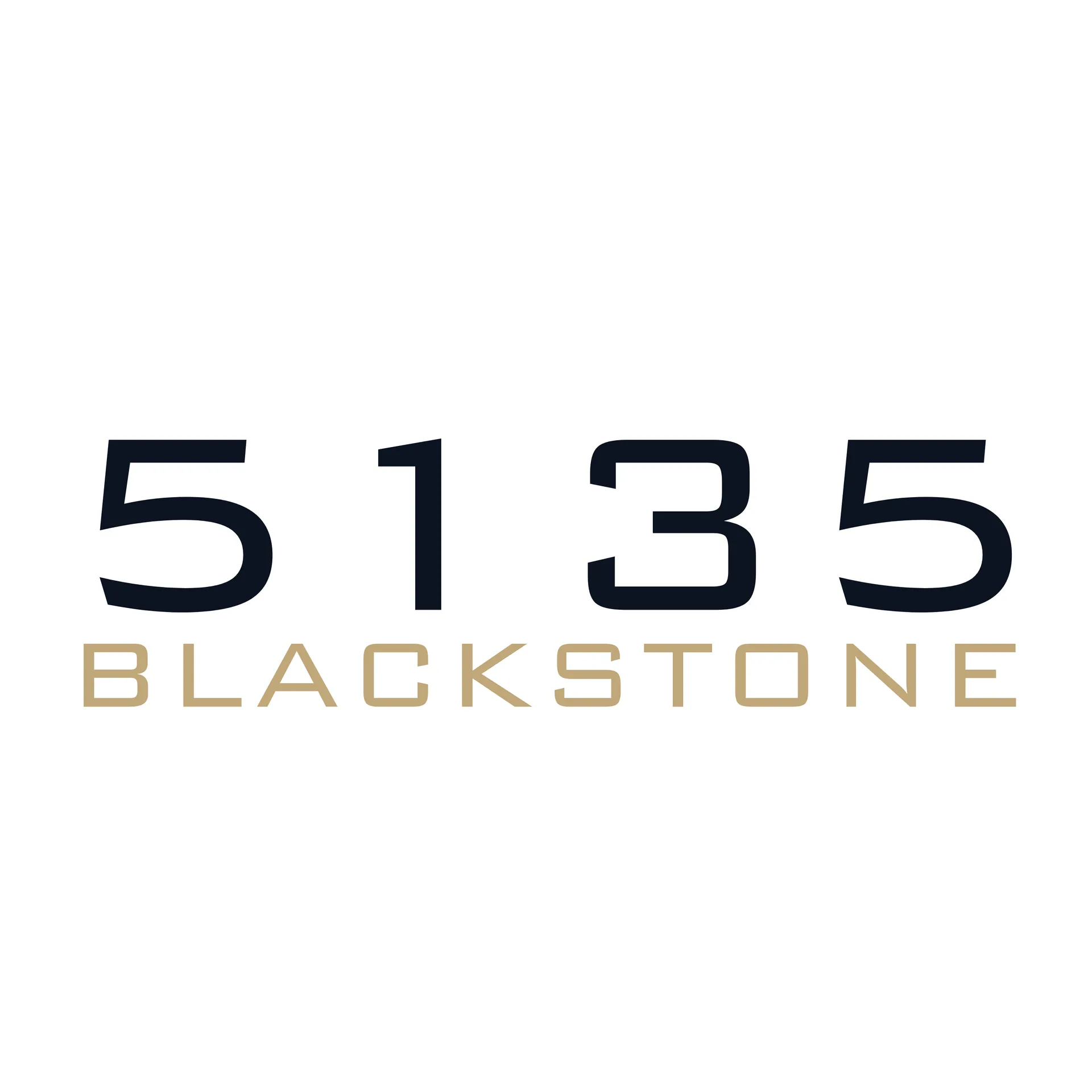 5135 S Blackstone Ave, , 60615, USA 60615-unit#209-Chicago-IL