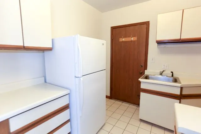 817 W Cornelia Ave, ,  60657, USA 60657-unit#306-Chicago-IL