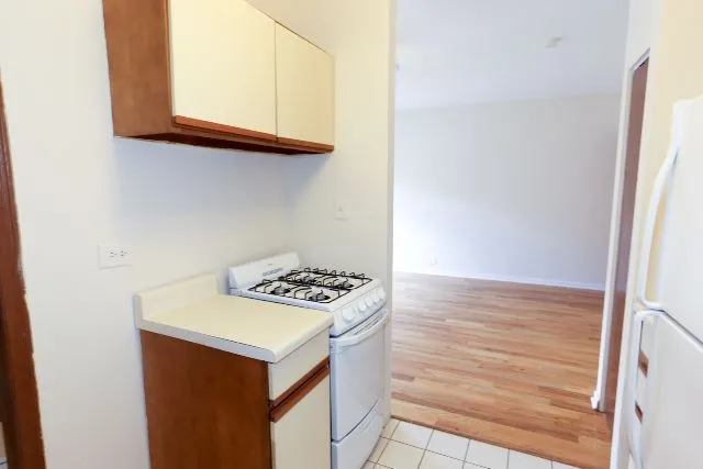 817 W Cornelia Ave, ,  60657, USA 60657-unit#306-Chicago-IL