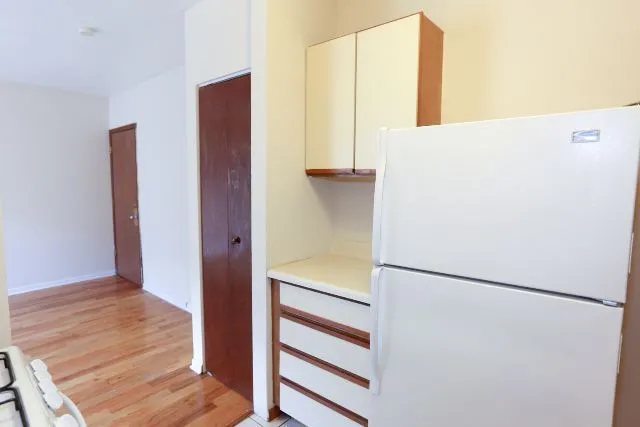 817 W Cornelia Ave, ,  60657, USA 60657-unit#306-Chicago-IL