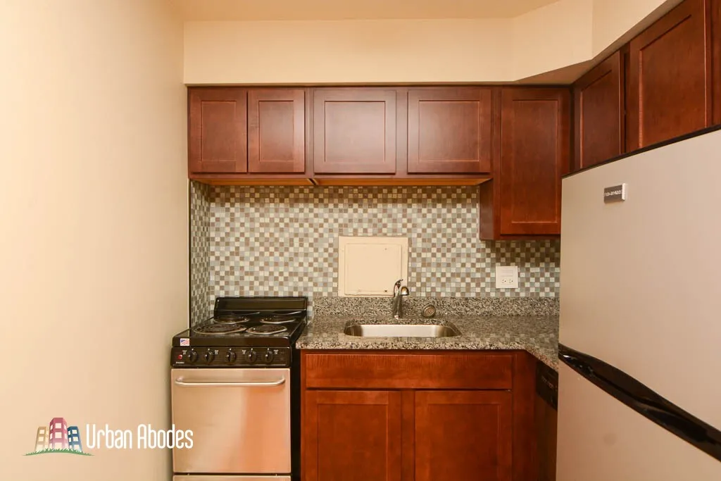 1446 N Dearborn St, ,  60610, USA 60610-unit#4D-Chicago-IL