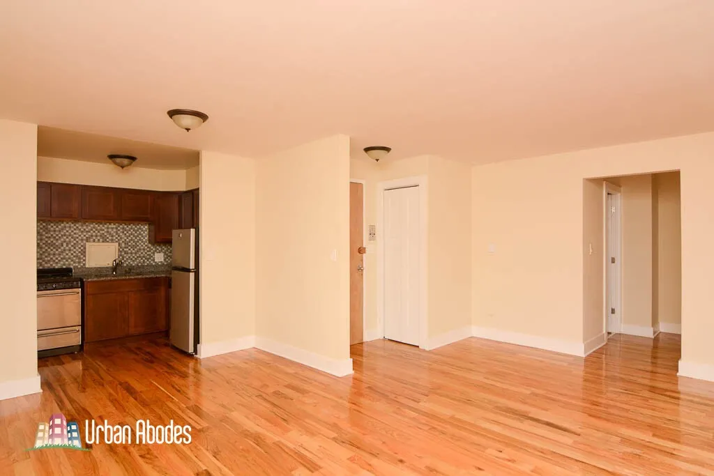 1446 N Dearborn St, ,  60610, USA 60610-unit#4D-Chicago-IL