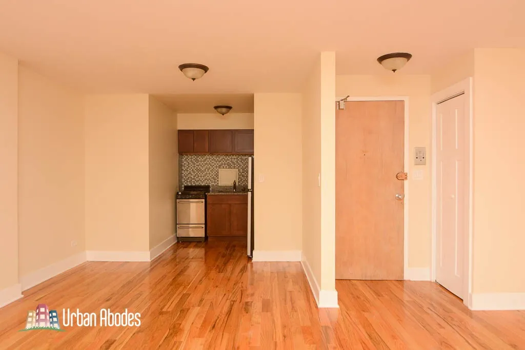 1446 N Dearborn St, ,  60610, USA 60610-unit#4D-Chicago-IL