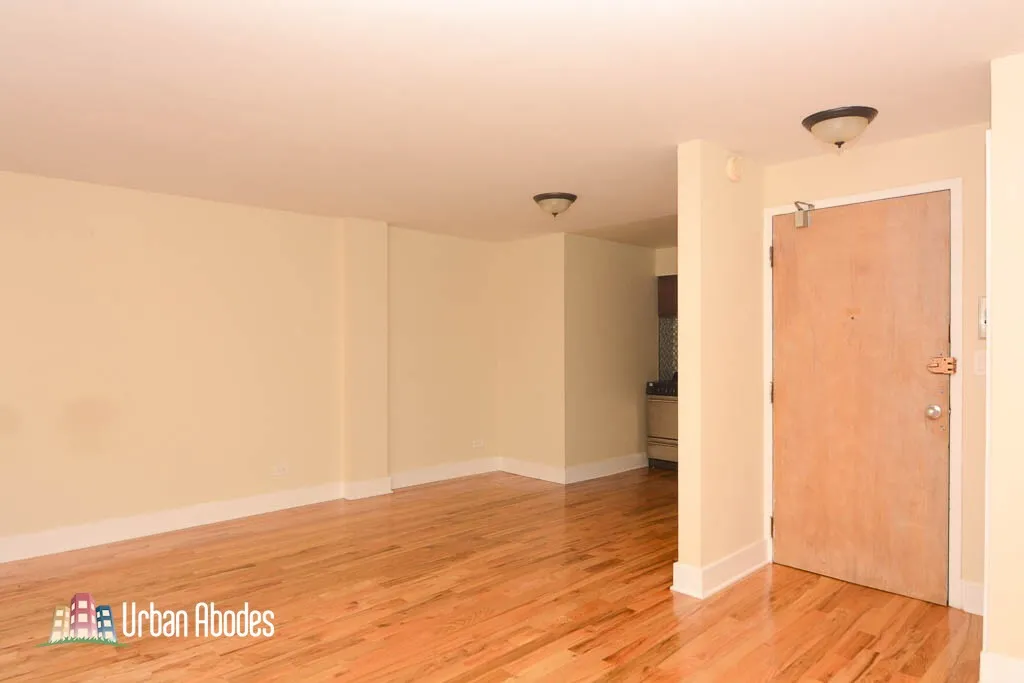 1446 N Dearborn St, ,  60610, USA 60610-unit#4D-Chicago-IL