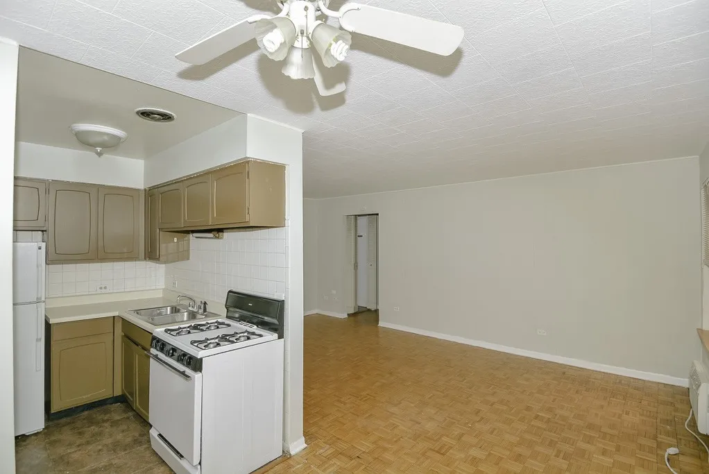 510 W Briar Pl, ,  60657, USA 60657-unit#205-Chicago-IL
