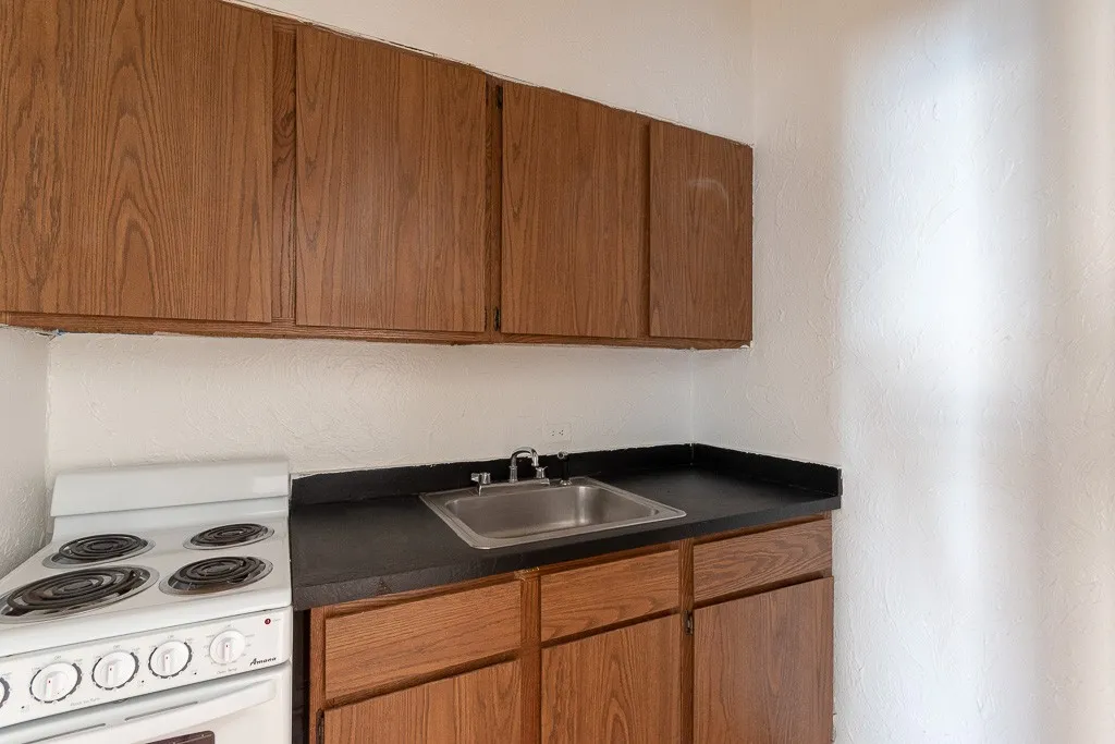 536 W Arlington Pl, ,  60614, USA 60614-unit#316-Chicago-IL