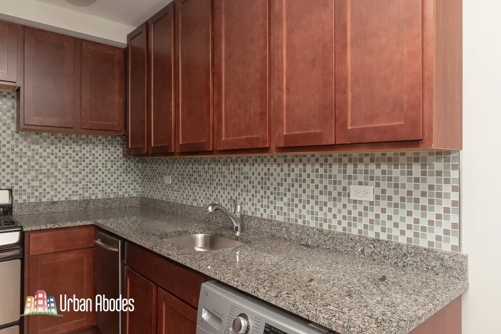 550 W Arlington Pl, ,  60614, USA 60614-unit#306-Chicago-IL