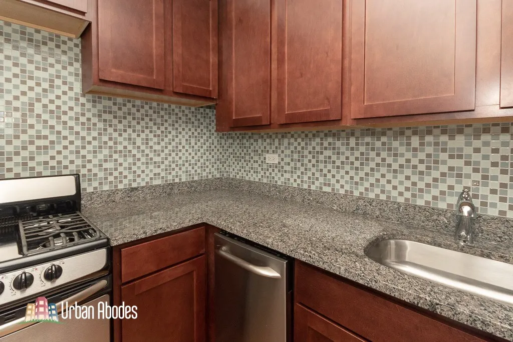 550 W Arlington Pl, ,  60614, USA 60614-unit#306-Chicago-IL