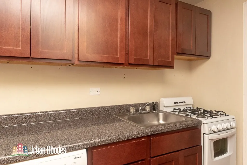 1435 N Dearborn St, ,  60610, USA 60610-unit#1C-Chicago-IL