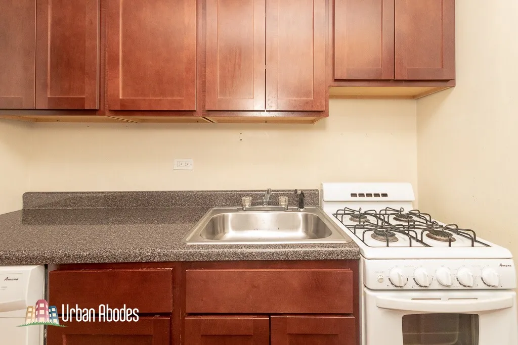 1435 N Dearborn St, ,  60610, USA 60610-unit#1C-Chicago-IL