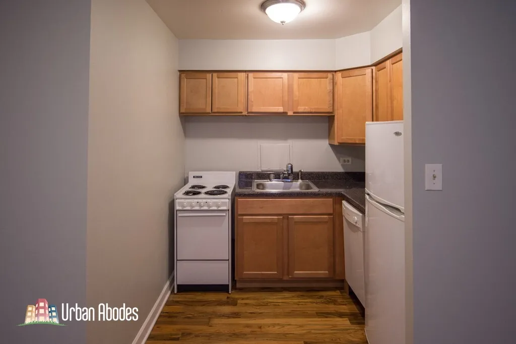 1446 N Dearborn St, ,  60610, USA 60610-unit#3D-Chicago-IL