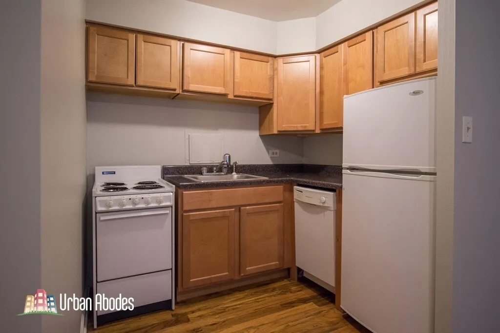 1446 N Dearborn St, ,  60610, USA 60610-unit#3D-Chicago-IL