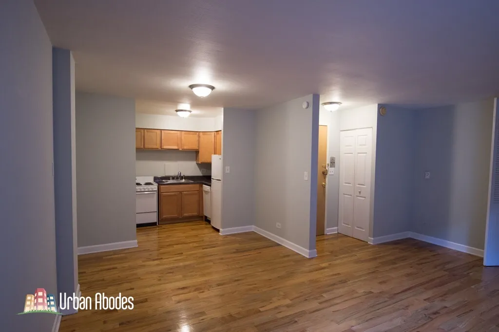 1446 N Dearborn St, ,  60610, USA 60610-unit#3D-Chicago-IL