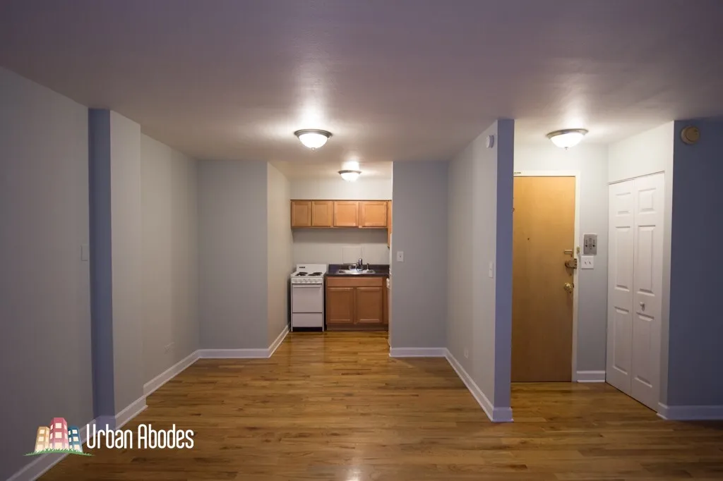 1446 N Dearborn St, ,  60610, USA 60610-unit#3D-Chicago-IL