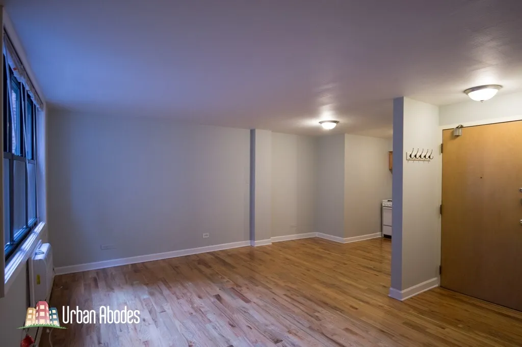 1446 N Dearborn St, ,  60610, USA 60610-unit#3D-Chicago-IL