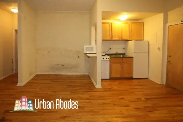 536 W Arlington Pl, , 60614, USA 60614-unit#011-Chicago-IL
