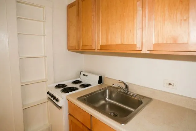 536 W Arlington Pl, ,  60614, USA 60614-unit#311-Chicago-IL