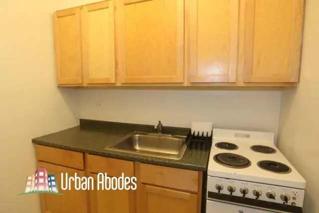 536 W Arlington Pl, , 60614, USA 60614-unit#315-Chicago-IL