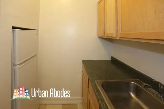 536 W Arlington Pl, , 60614, USA 60614-unit#315-Chicago-IL