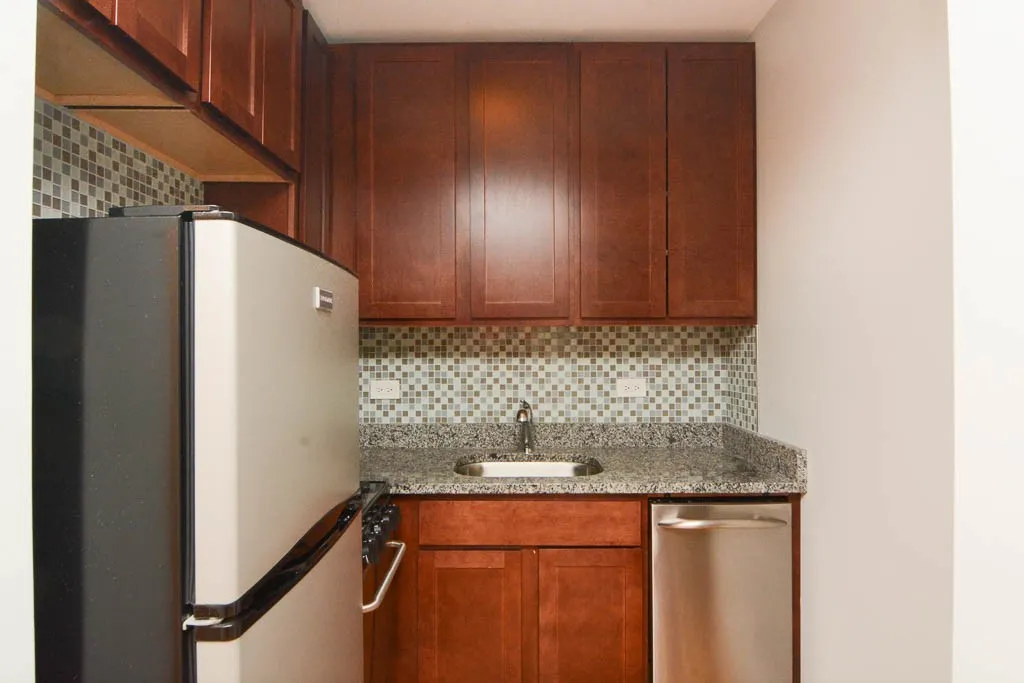 550 W Arlington Pl, ,  60614, USA 60614-unit#505-Chicago-IL