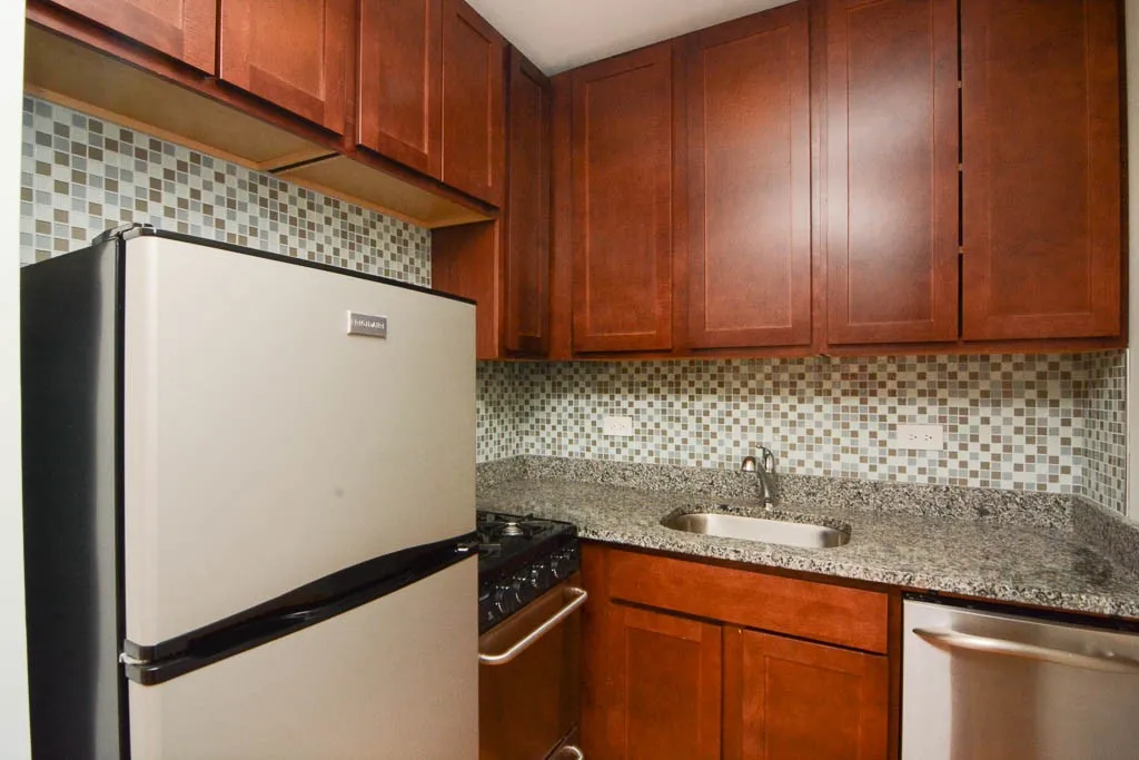 550 W Arlington Pl, ,  60614, USA 60614-unit#505-Chicago-IL